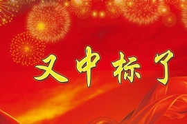 中標（biāo）喜訊！恭喜「江（jiāng）蘇奧爾特（tè）」中標 ：沂南縣農村公（gōng）路“三年集中攻堅”專項行動2019年公交站台工程